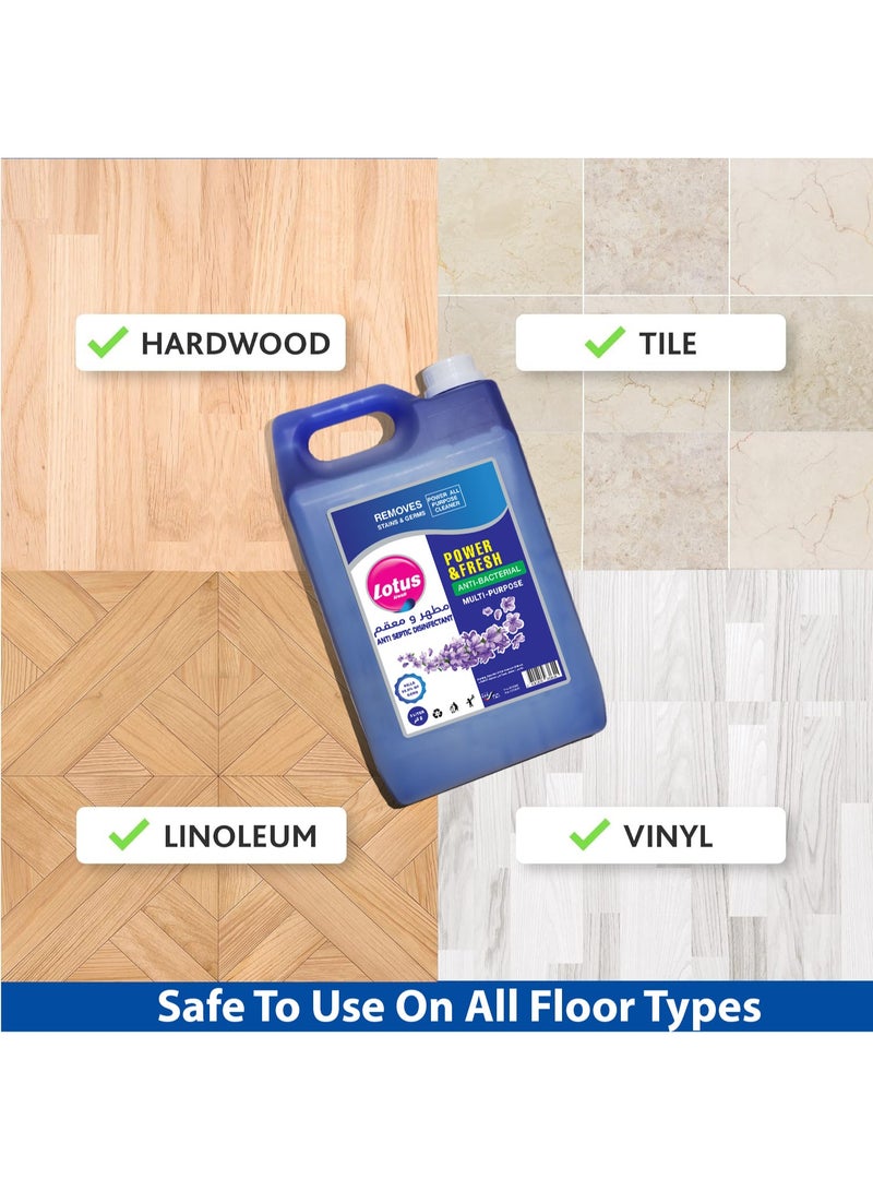 Lotus Alwadi Lotus Alwadi Anti-Septic Disinfectant Floor Cleaner, 3 Gallons/Carton (3x5L) | Made with Naturally-Derived Ingredients | Safe to Use on All Surfaces | Perfect for Mop Buckets - Image 4