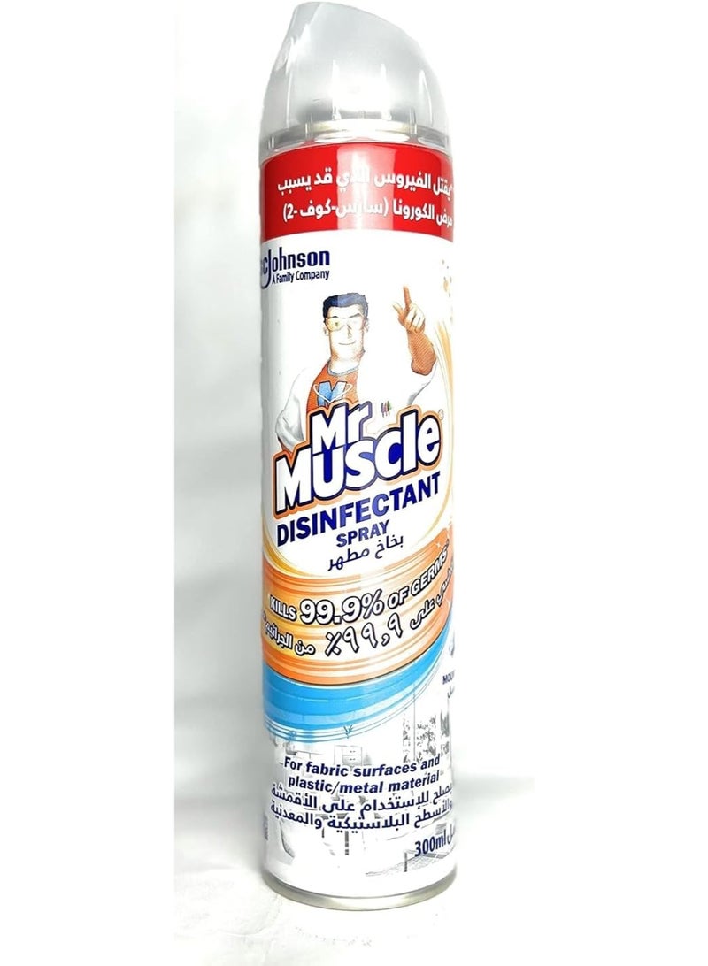 Mr Muscle Mr. Muscle Disinfectant Aerosol ââ‚¬â€œ Mountain Fresh