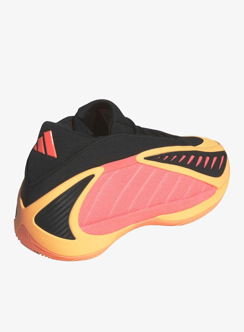 Adidas  Anthony Edwards 2 Shoes  | Best Price UAE