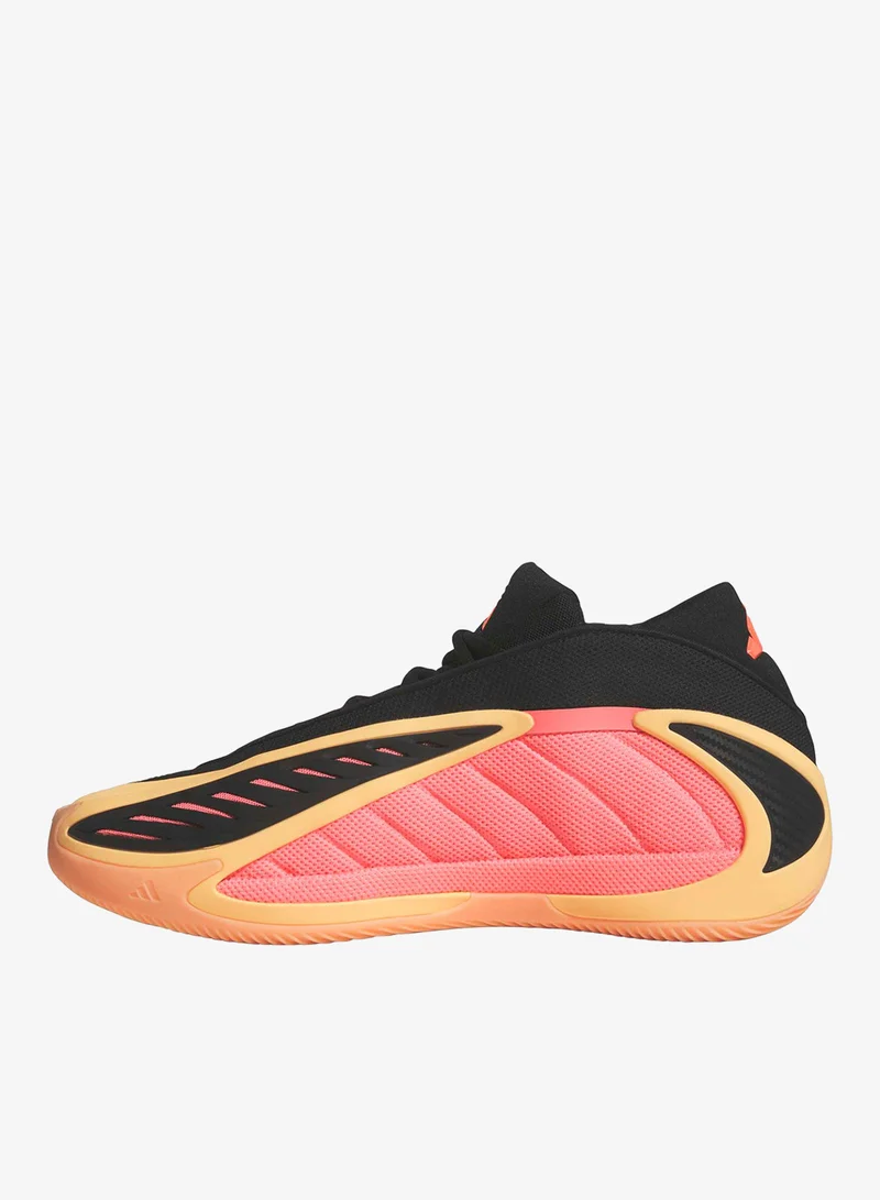 Adidas  Anthony Edwards 2 Shoes  | Best Price UAE