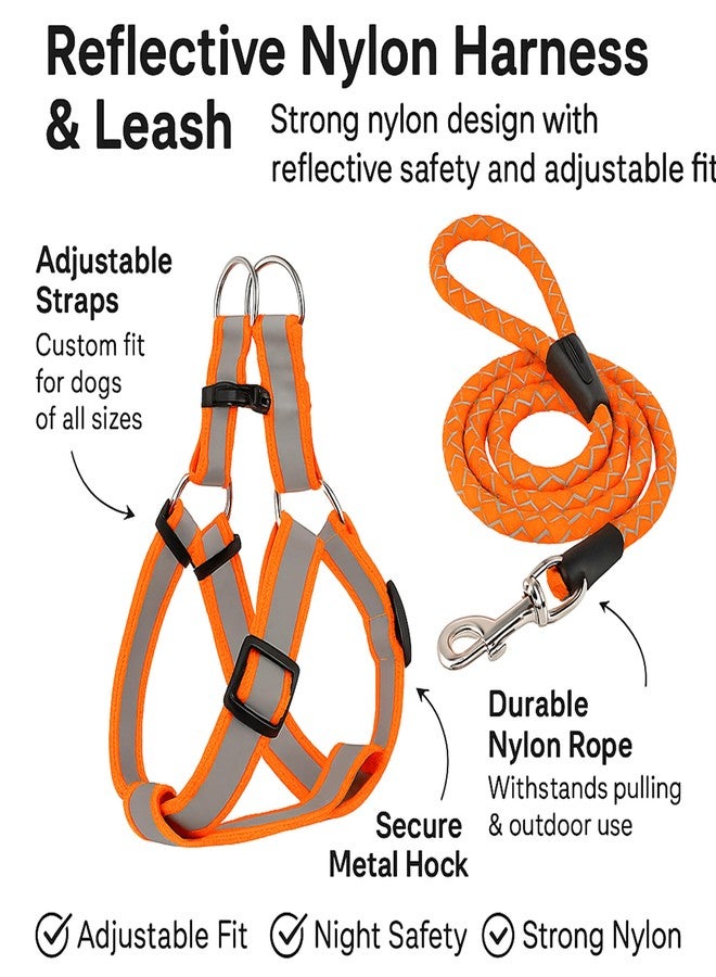 Wellway Reflective Dog Leash with Adjustable Harness - Night-Safe Leash Set for Small & Medium Dogs - Durable, Tangle-Free, Secure Fit (Orange) - Image 2