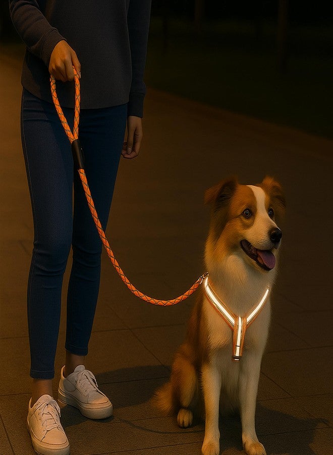 Wellway Reflective Dog Leash with Adjustable Harness - Night-Safe Leash Set for Small & Medium Dogs - Durable, Tangle-Free, Secure Fit (Orange) - Image 5