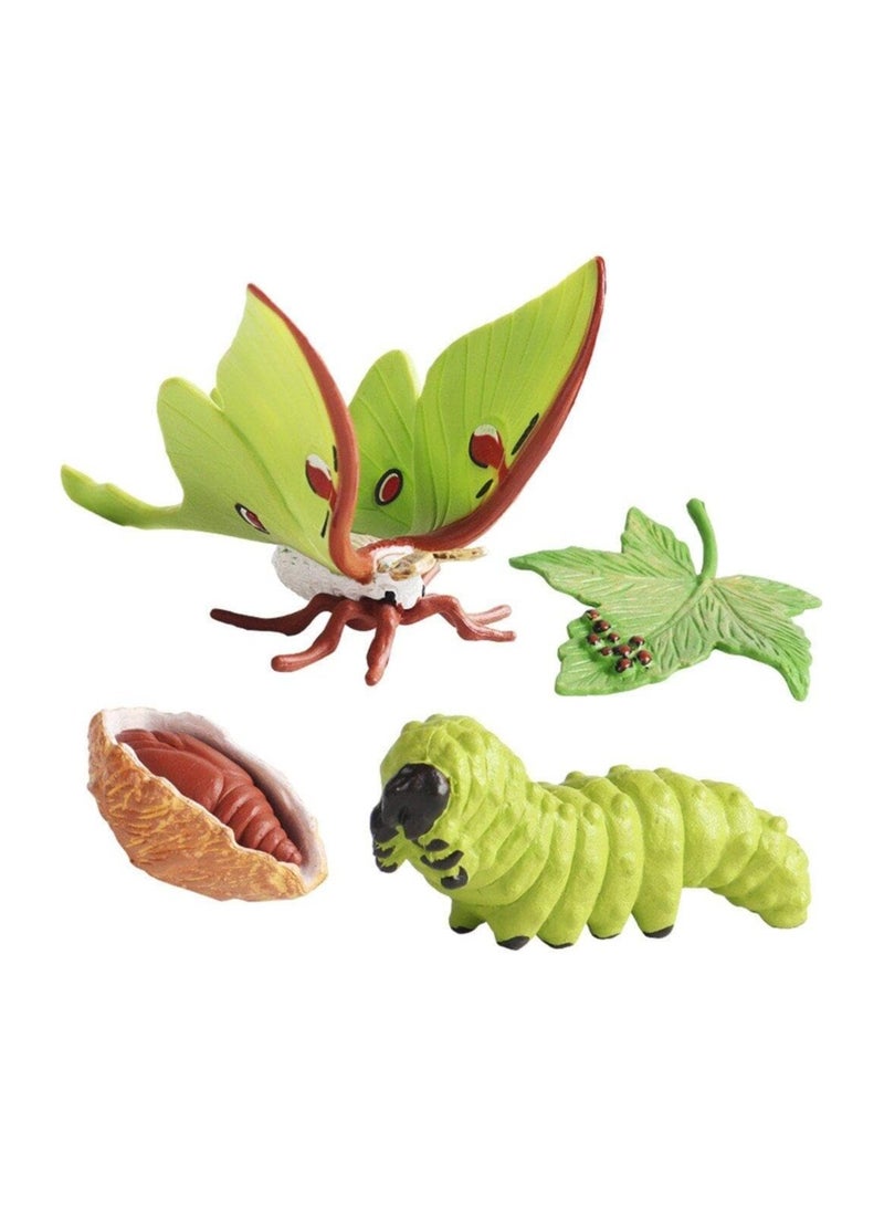 Zikra Life Cycle Models Butterfly, Simulation Animal Growth Cycle Model, Life Cycle Animal Figures Toy Growth Model for Children, for Home Diy, School Teaching Aids, 4 Stages of Butterfly Developments - Image 1