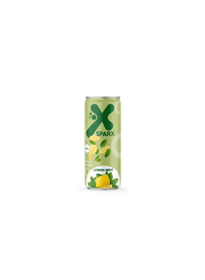 Carbonated Soda Drink with Lemon Mint Flavor 300ml