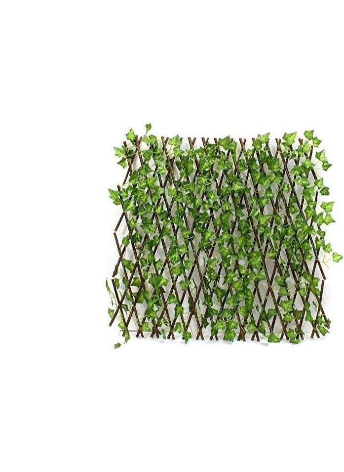 Bamboo garden fence with large size industrial vegetables
