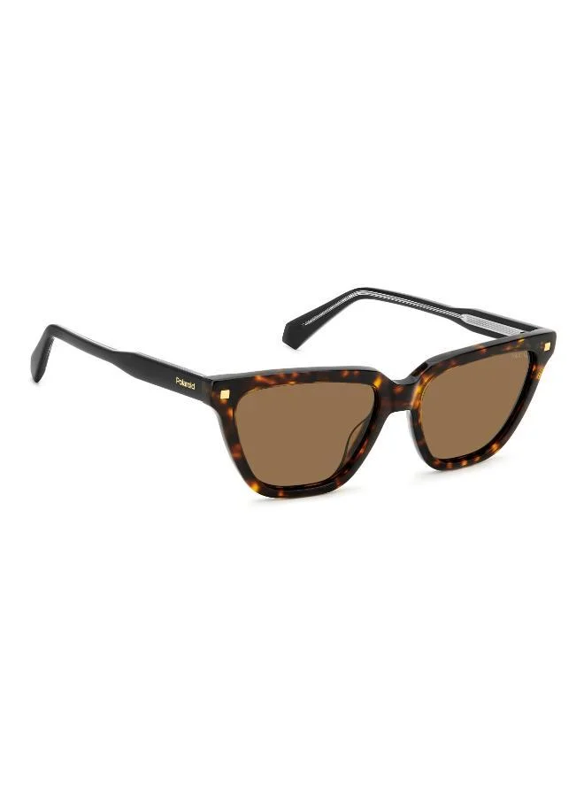 بولارويد نظارة شمسية بإطار وايفارير