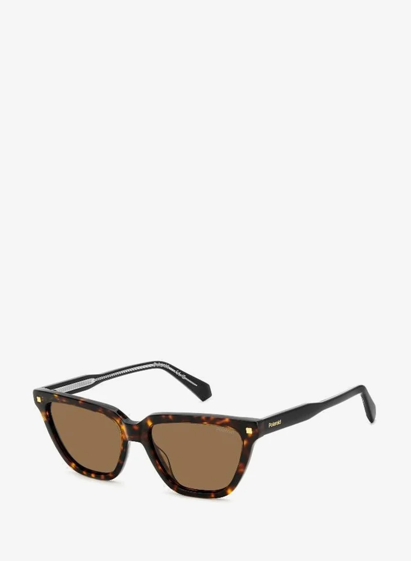 Polaroid  Wayfarers Sunglasses for Women | Best Price UAE