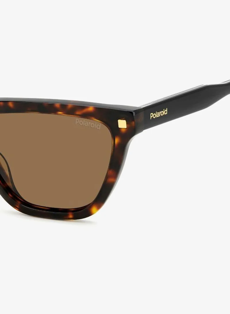 Polaroid  Wayfarers Sunglasses for Women | Best Price UAE