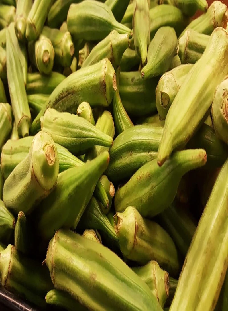 GGOOT 50pcs Okra Seeds Indoor Outdoor Planting One of Common Vegetables in Home Kitchen Be Welcomed by People Beautiful Garden Decoration - Image 2