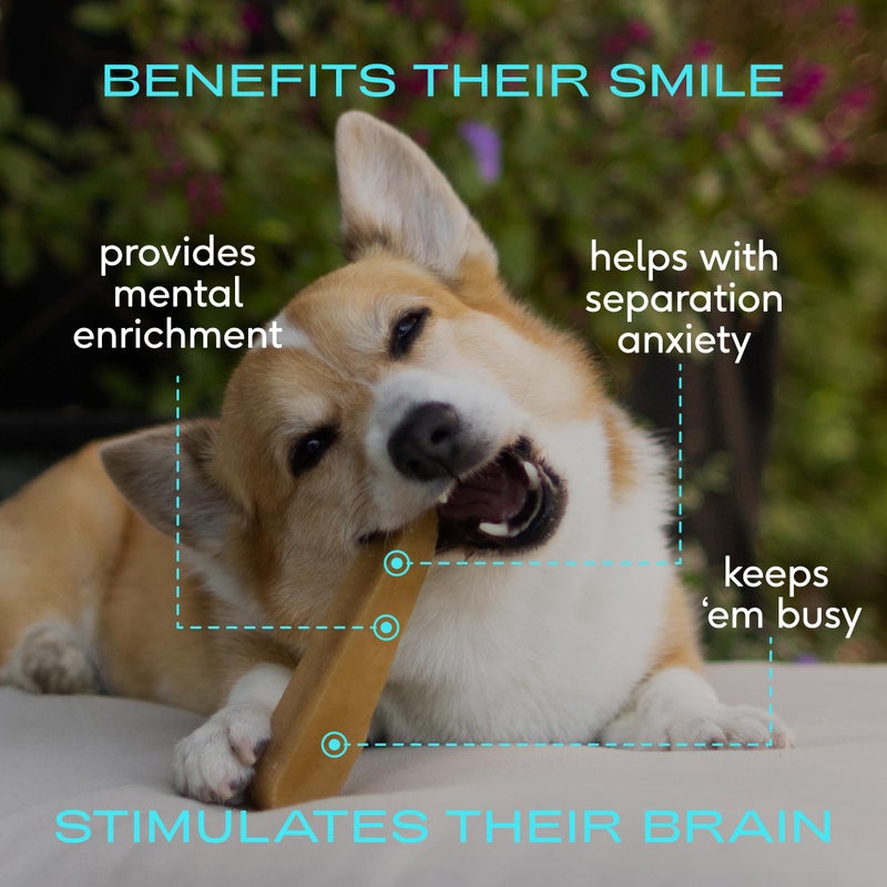 Native Pet Yak Cheese Himalayan Dog Chews - Long Lasting Dental Sticks for Medium Breeds â€“ 100% All Natural Himalayan Yak Chews for Medium Dogs â€“ Cheese Bone for Aggressive Chewers - 10 Per Pack - Image 2