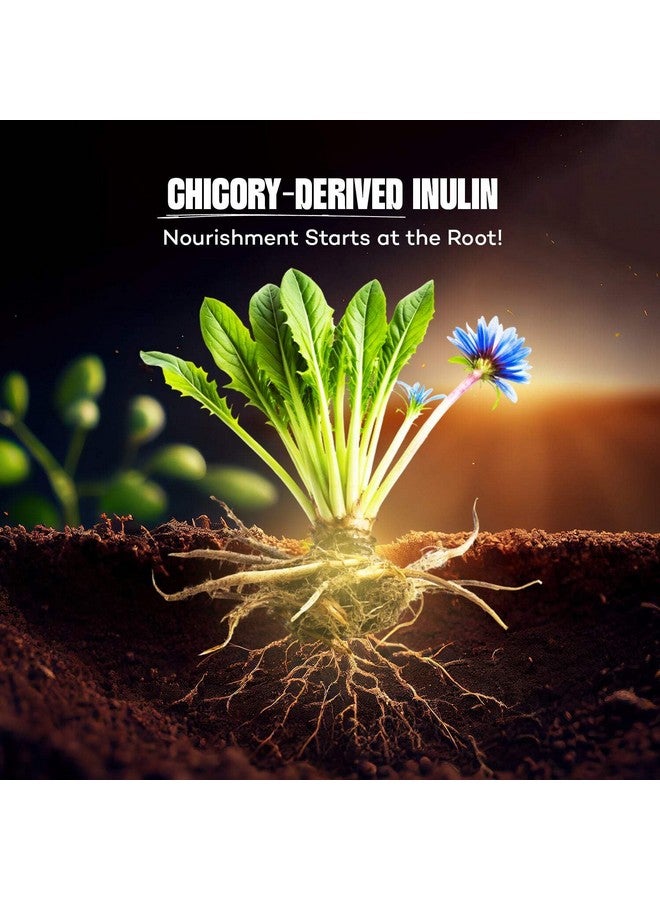 Urban Platter Inulin Powder, 300g (Fructo-Oligosaccharides | FOS | Prebiotic & Rich in Soluble Dietary Fibre | Supports Gut Health) - Image 3