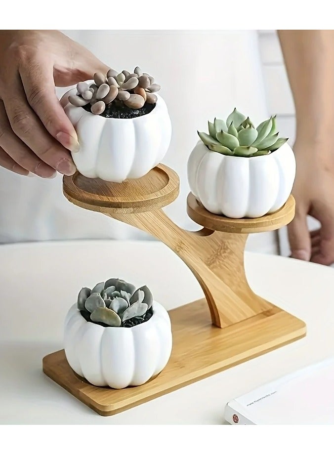 Generic Stand shelves are a pot holder Small cute indoor plants such as cacti or flowersThe holder can accommodate up to 3 pots of round plant of wood A pleasant design for sight and increases the beauty of the décor to decorate the home, office or window corner Note The wooden stand is sold single without potting plants  - Image 3