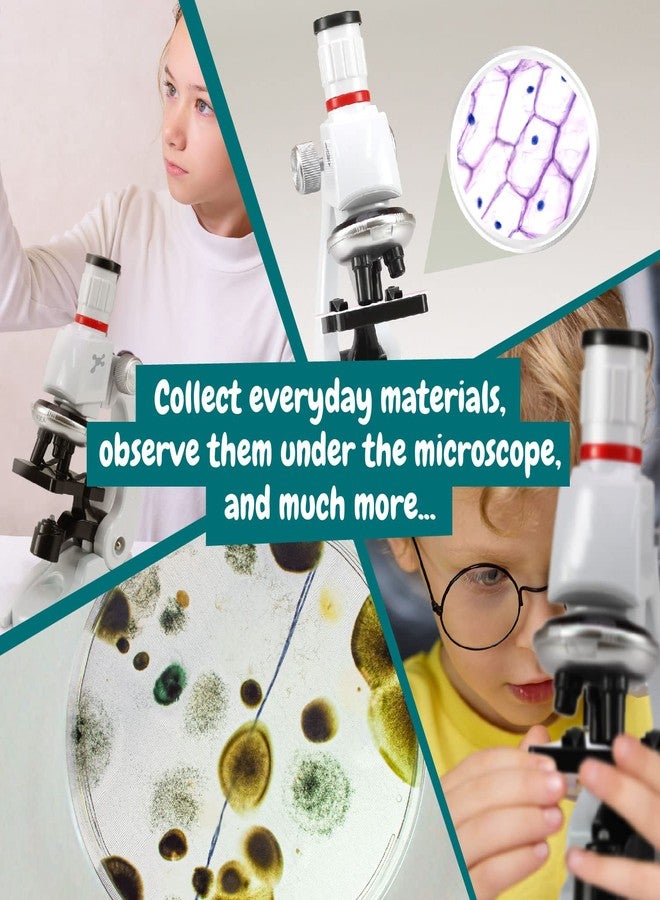 Science4you Microscope Lab - Kids´ Microscope Kit for 8+ Year Old + Manual with Experiments + 11 Lab Tools, Educational Science Toy and Gift for Kids 6 7 8 9 10 11 12+ Year olds - Image 4