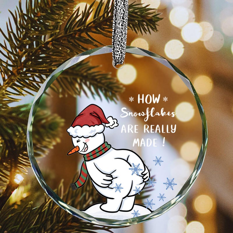 Funny Christmas Ornaments 2025White Elephant GiftsStocking Stuffers for Men WomenGag Gift for Friends Coworkers Boyfriend FamilyHow Snowflakes are Really Made