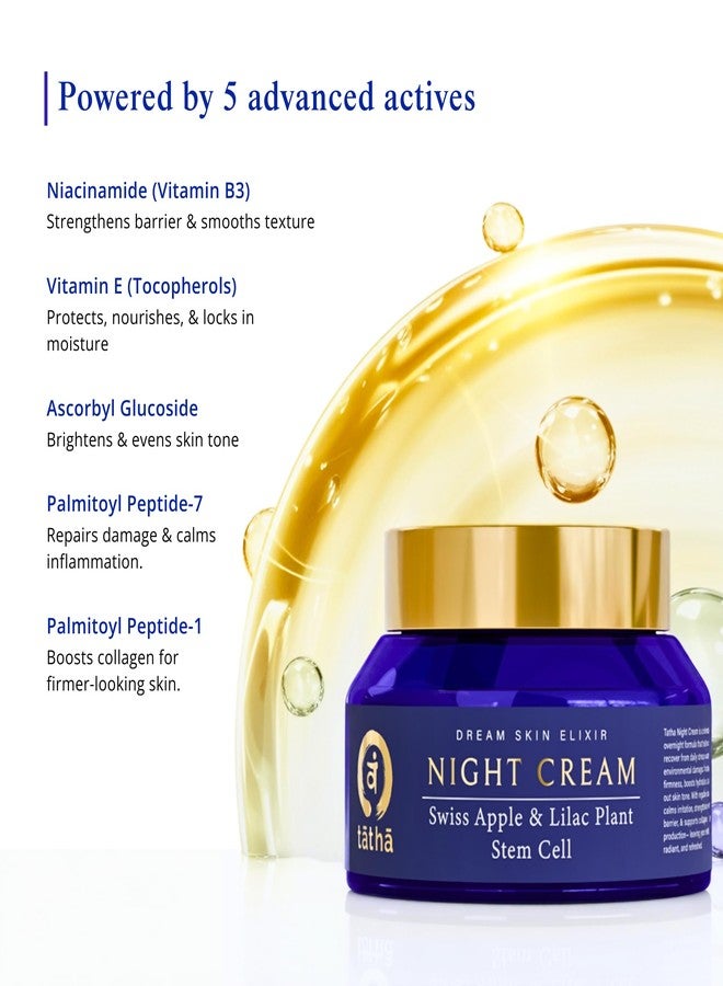 Tatha Dream Skin Elixir Night Cream with Swiss Apple & Lilac Stem Cells | Anti-Aging, Firming & Brightening | Hydration, Barrier Repair & Protection from Stress & Pollution| For All Skin Type - Image 4