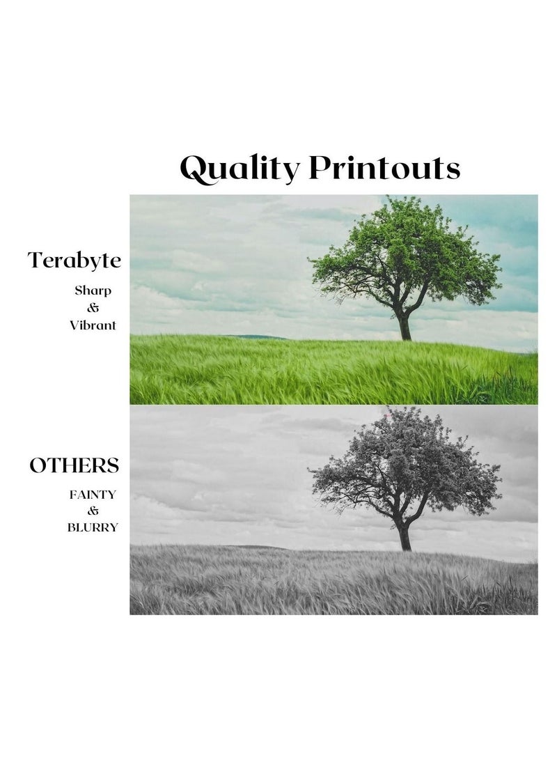 Terabyte TK4105 KYOCERA COMPATIBLE TONER TERABYTE - Image 2