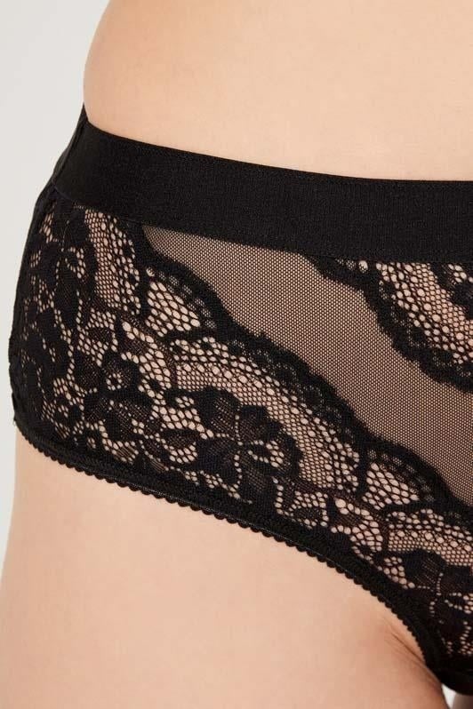 COTTONHILL Lace Transparent Back Plus Size Bikini Panties 3-Pack-3  - Image 2