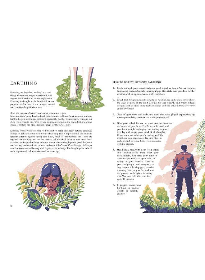 The Wild Handbook: Seasonal Activities to Help You Reconnect with Nature - Image 2