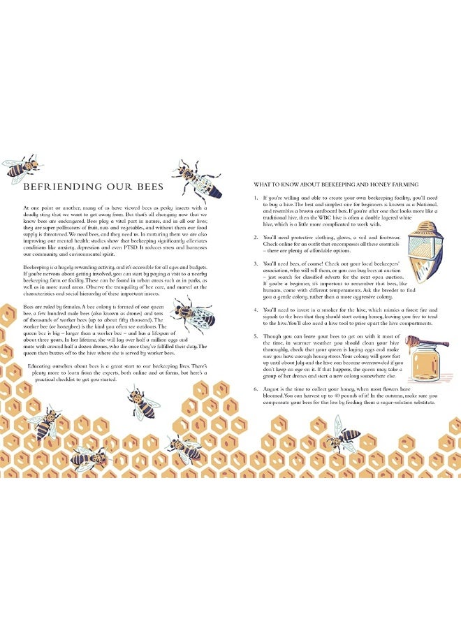 The Wild Handbook: Seasonal Activities to Help You Reconnect with Nature - Image 5