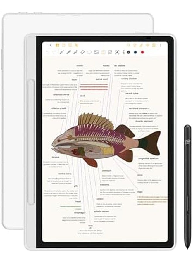 XP-PEN Magic Note 3-in-1 Color Digital Notebook 10.95-Inch Smart Writing Tablet with 16384 Pressure Levels, Battery-Free X3 Pro Pencil 2, Magnetic Folio, 6+128GB Storage for Writing, Reading & Study - Image 1