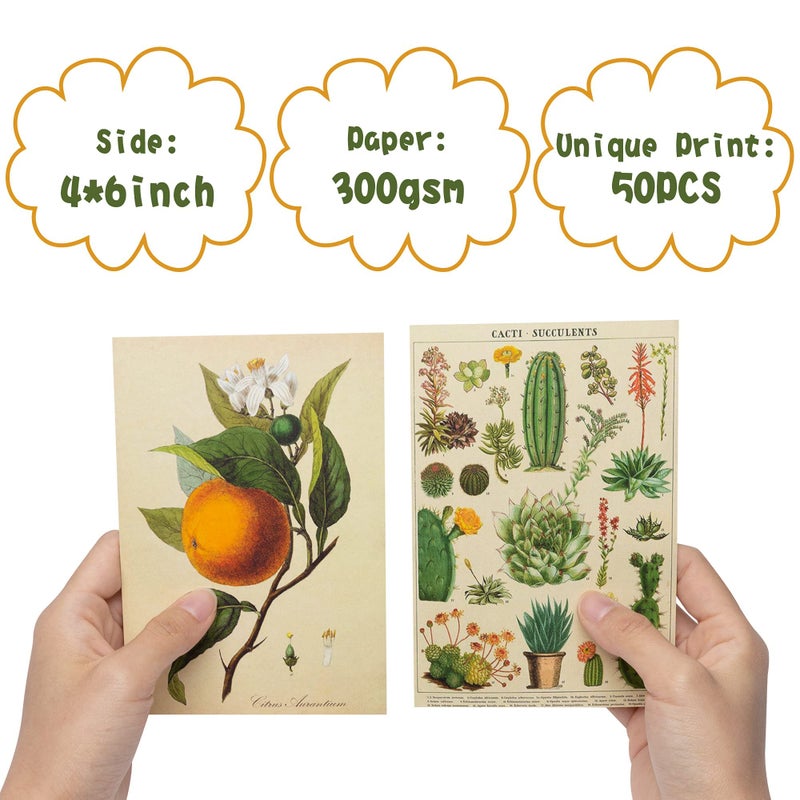 SOLARAE Wall Collage Kit for Creative Gallery Display, 50PCS Botanical Wall Art Aesthetic Pictures, 4x6 Inch Vintage Wall Collage Small Posters for Dorm Room Decor, Study Office Classroom - Image 2
