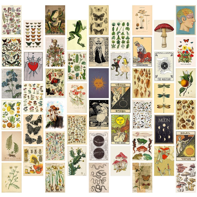SOLARAE Wall Collage Kit for Creative Gallery Display, 50PCS Botanical Wall Art Aesthetic Pictures, 4x6 Inch Vintage Wall Collage Small Posters for Dorm Room Decor, Study Office Classroom - Image 1
