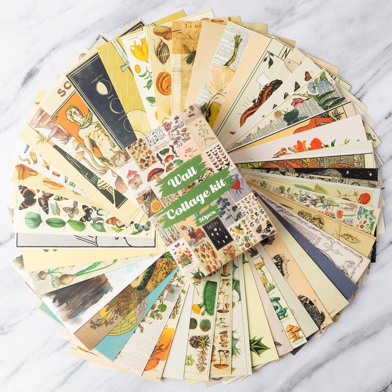 SOLARAE Wall Collage Kit for Creative Gallery Display, 50PCS Botanical Wall Art Aesthetic Pictures, 4x6 Inch Vintage Wall Collage Small Posters for Dorm Room Decor, Study Office Classroom - Image 3