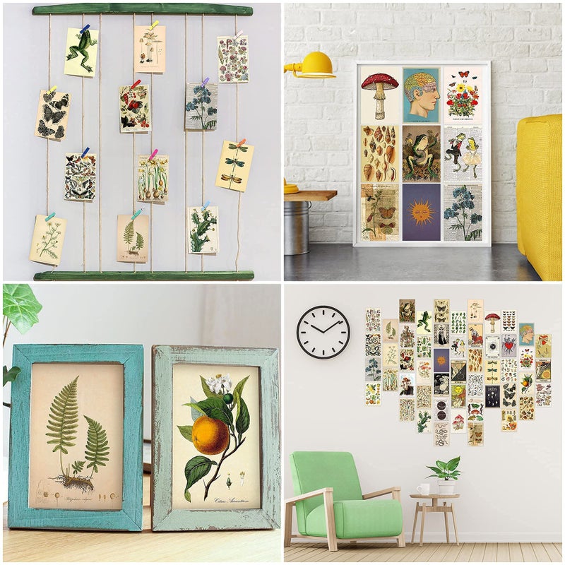 SOLARAE Wall Collage Kit for Creative Gallery Display, 50PCS Botanical Wall Art Aesthetic Pictures, 4x6 Inch Vintage Wall Collage Small Posters for Dorm Room Decor, Study Office Classroom - Image 5
