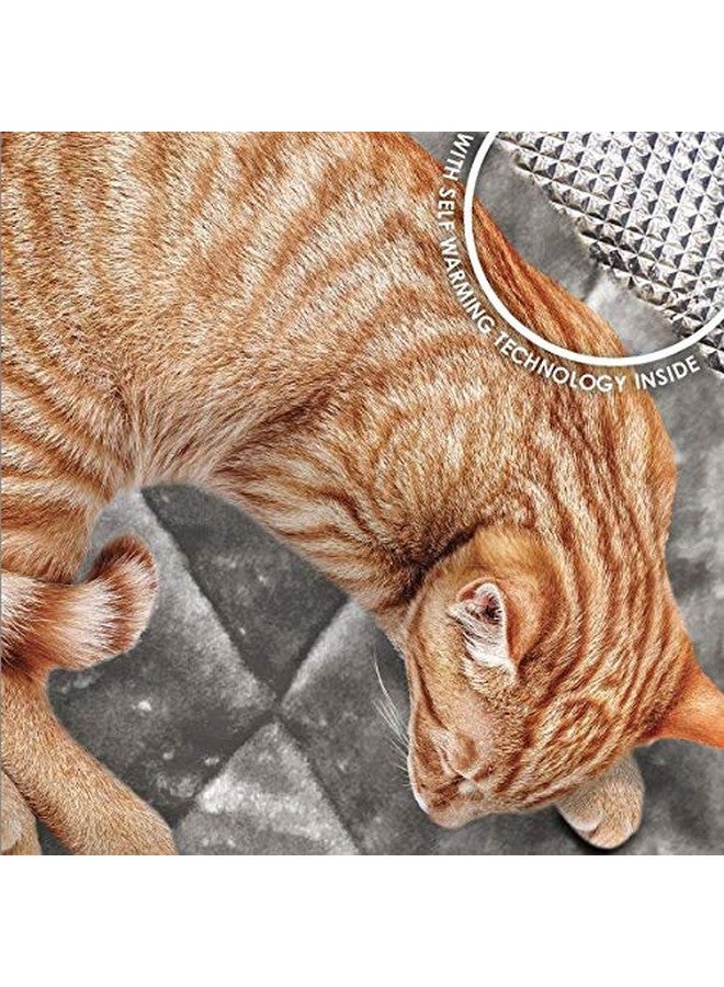 سرير القطط ثيرماناب ذاتي التدفئة للقطط والكلاب الصغيرة، قابل للغسل ويعكس حرارة الجسم - بساط سرير عاكس مبطن من الفرو الصناعي - رمادي، صغير - Image 3