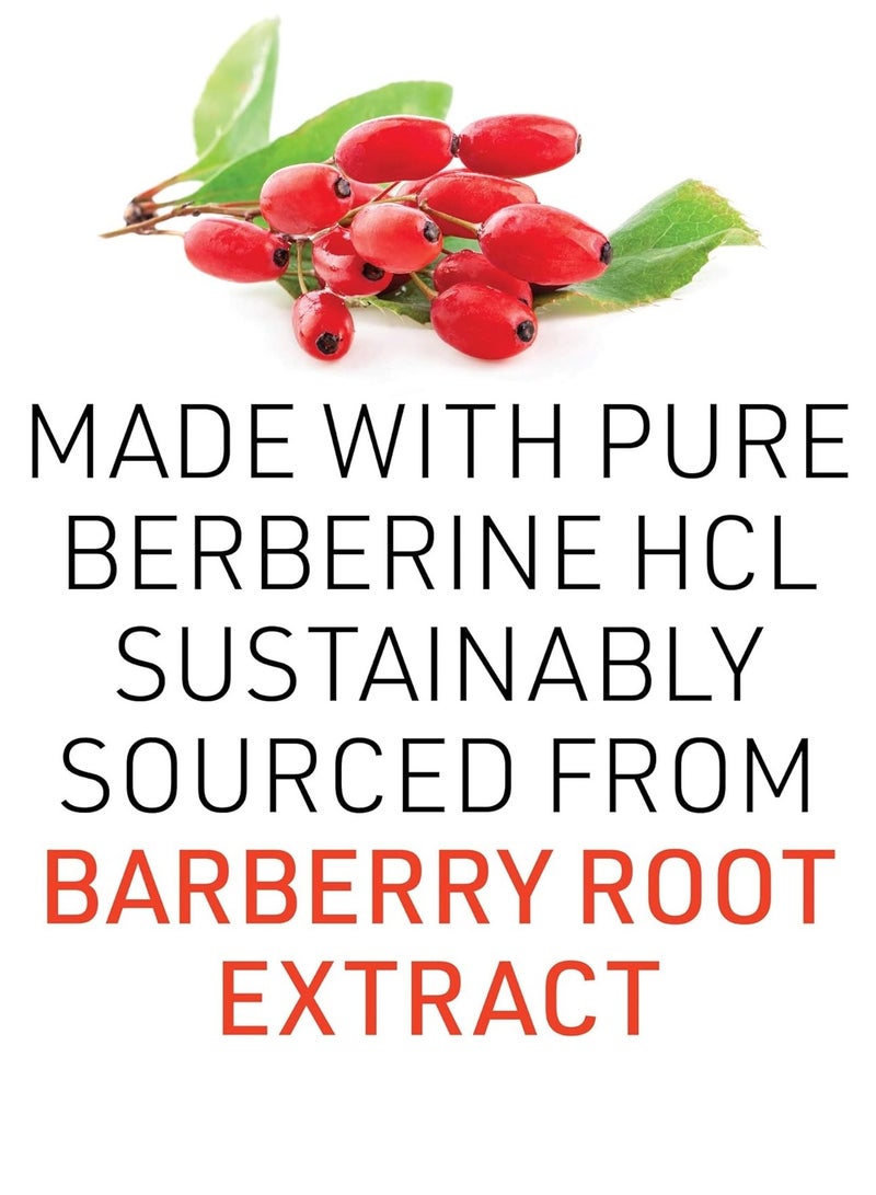 Natural Factors WellBetX Berberine 500 mg 60 Vegetarian Capsules - Image 5