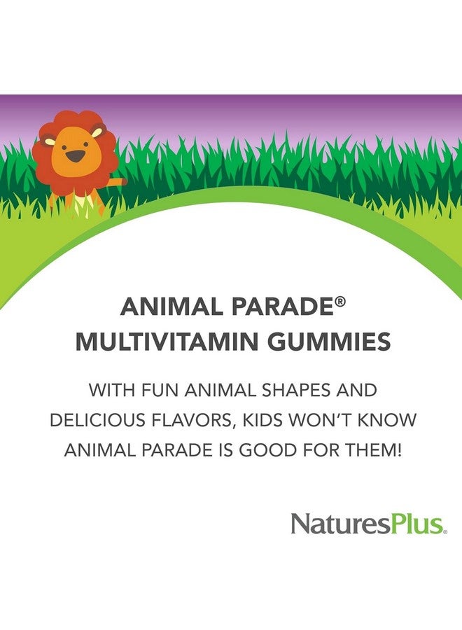 Natures Plus Animal Parade Multivitamin Children's Gummies - 90 Count - Assorted Cherry, Grape & Orange Flavors - Supports Immune System - Vegetarian, Gluten Free - 30 Servings - Image 3