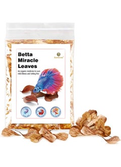 SunGrow SunGrow 50 pcs Catappa Indian Almond Leaves for Betta Fish Tank Aquarium, 2” Water Conditioner Leaves, Leaf Also Suitable for Shrimp, Goldfish, Guppy and Frogs  - Image 1