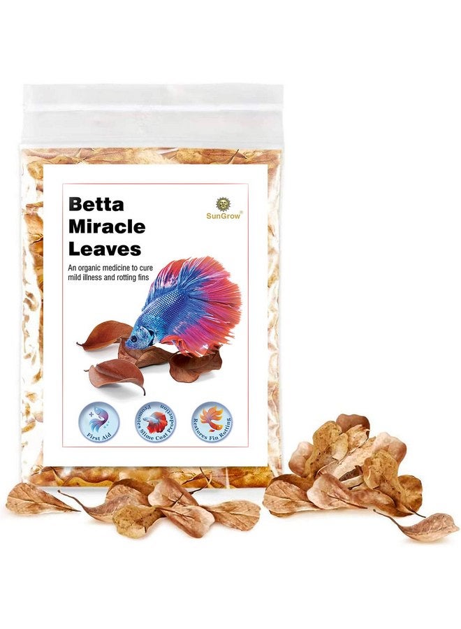 SunGrow 50 pcs Catappa Indian Almond Leaves for Betta Fish Tank Aquarium, 2” Water Conditioner Leaves, Leaf Also Suitable for Shrimp, Goldfish, Guppy and Frogs
