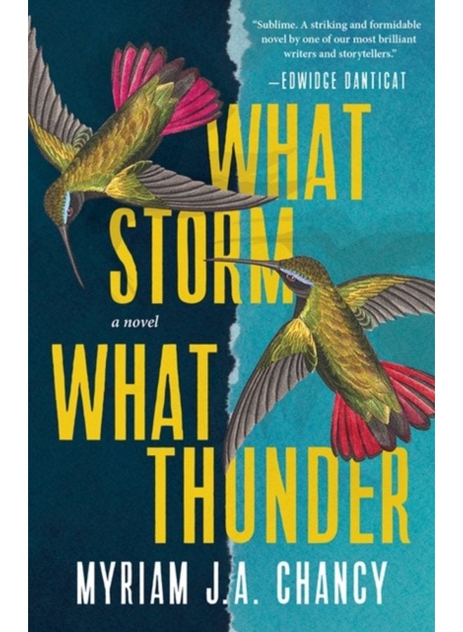 What Storm What Thunder A Novel - Paperback