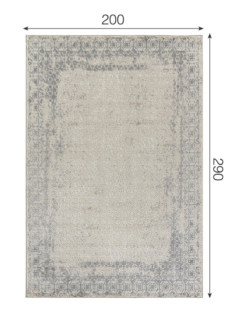 MERINOS Modern Vintage Style Area Rug Non-Slip Super Soft Touch Living Room Bedroom Floor Decoration Carpet Beige Natural Light Rectangular 200x300 cm  - Image 2
