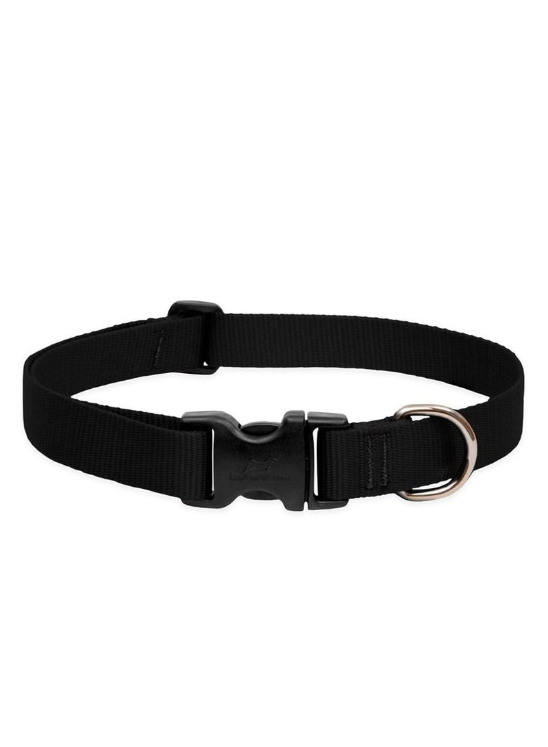 Basics Adjustable Collar Black 3/4 For Medium Dogs Belt