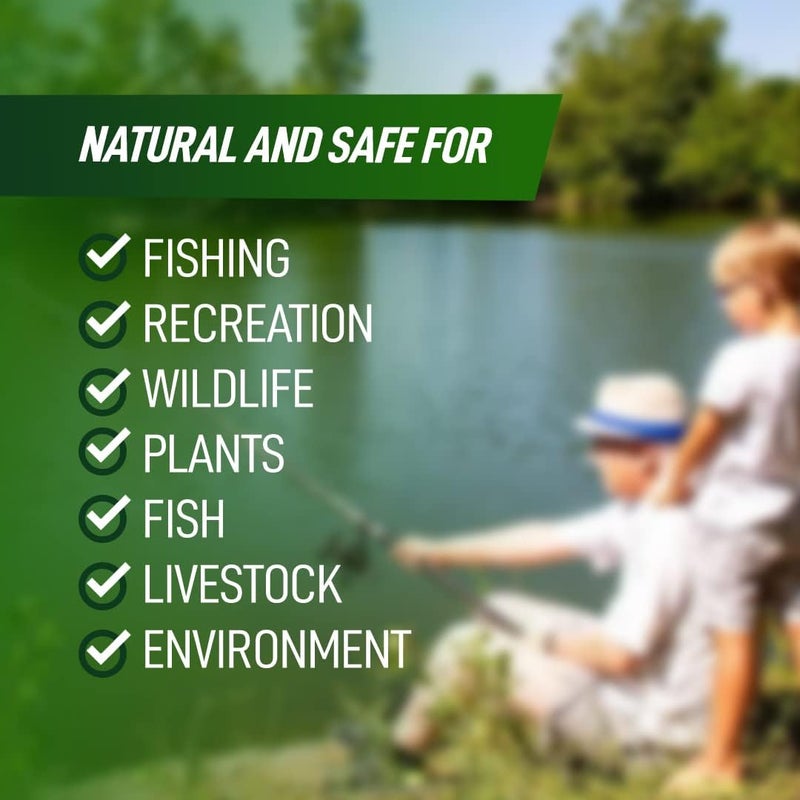 Not Rocket Sciences 4X Pond Cleaner - Reduces Muck & Sludge for a Clean, Natural Look - Super Concentrated Lake and Water Feature Enzymes Treats Up to 1 Acre, Pair with Dye - Safe for Fish and Wildlife (32 oz) - Image 2