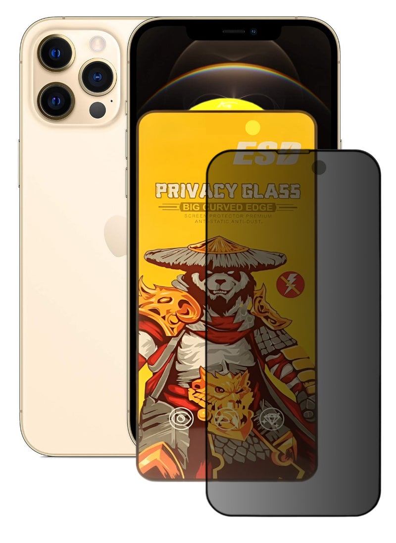 ESD Tempered Dustproof Privacy Glass Screen Protector Compatible For iPhone 12 Pro Max - Image 1