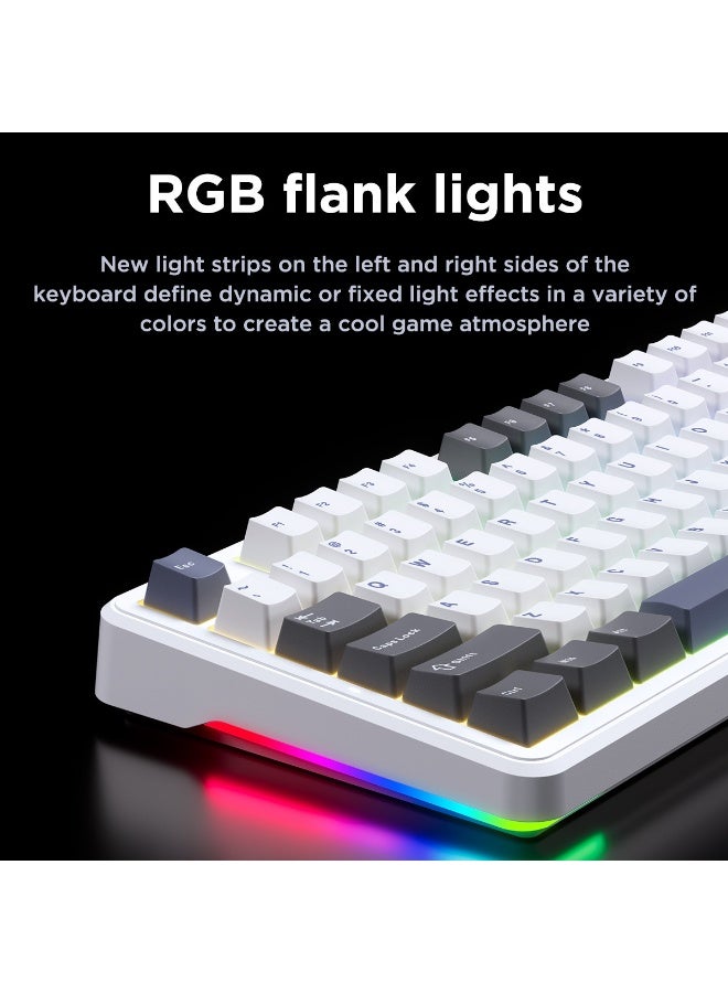 AULA لوحة مفاتيح ميكانيكية AULA F87 Pro 80% مع تركيب جازكيت، وضع ثلاثي 2.4G/Bluetooth/USB-C، قابلة للتبديل، 16.8 مليون لون RGB، مفاتيح PBT، قابلة للبرمجة للألعاب/Mac/Windows (رمادي متدرج + مفتاح كريستالي فضائي) - Image 3