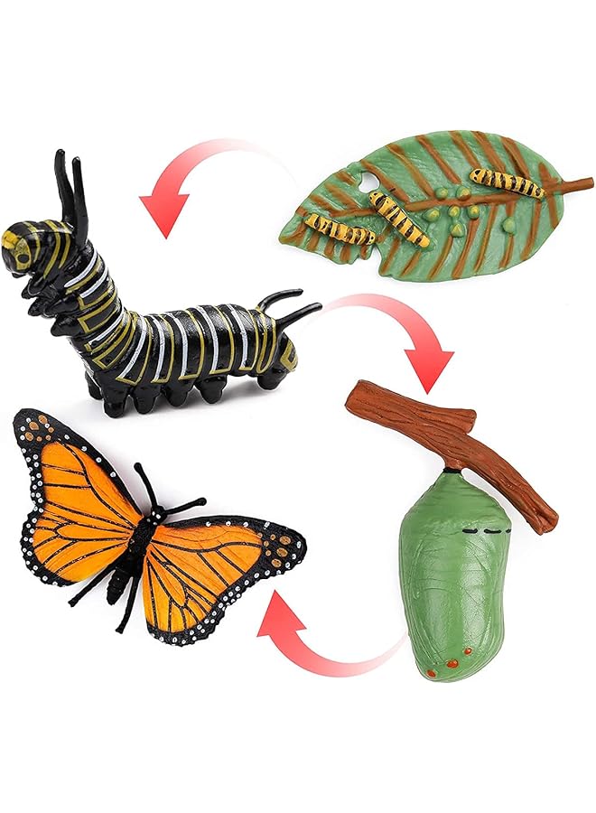 KASTWAVE Butterfly Life Cycle Kit Lifestyle Stages Tools Butterfly Teaching Tools Insect Figurines Life Cycle Of Butterfly Plastic Caterpillars To Butterflies Figure Toy Kit 4Pcs - Image 1