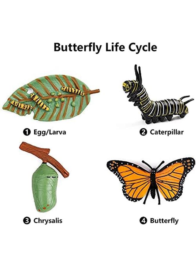 KASTWAVE Butterfly Life Cycle Kit Lifestyle Stages Tools Butterfly Teaching Tools Insect Figurines Life Cycle Of Butterfly Plastic Caterpillars To Butterflies Figure Toy Kit 4Pcs - Image 2