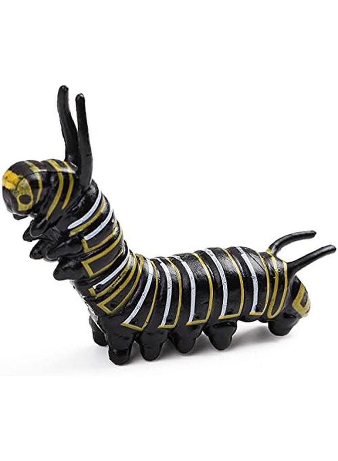 KASTWAVE Butterfly Life Cycle Kit Lifestyle Stages Tools Butterfly Teaching Tools Insect Figurines Life Cycle Of Butterfly Plastic Caterpillars To Butterflies Figure Toy Kit 4Pcs - Image 4