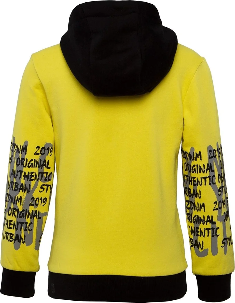 بي ار زد كولكشن Yellow Printed Boy's Hooded Sweatshirt