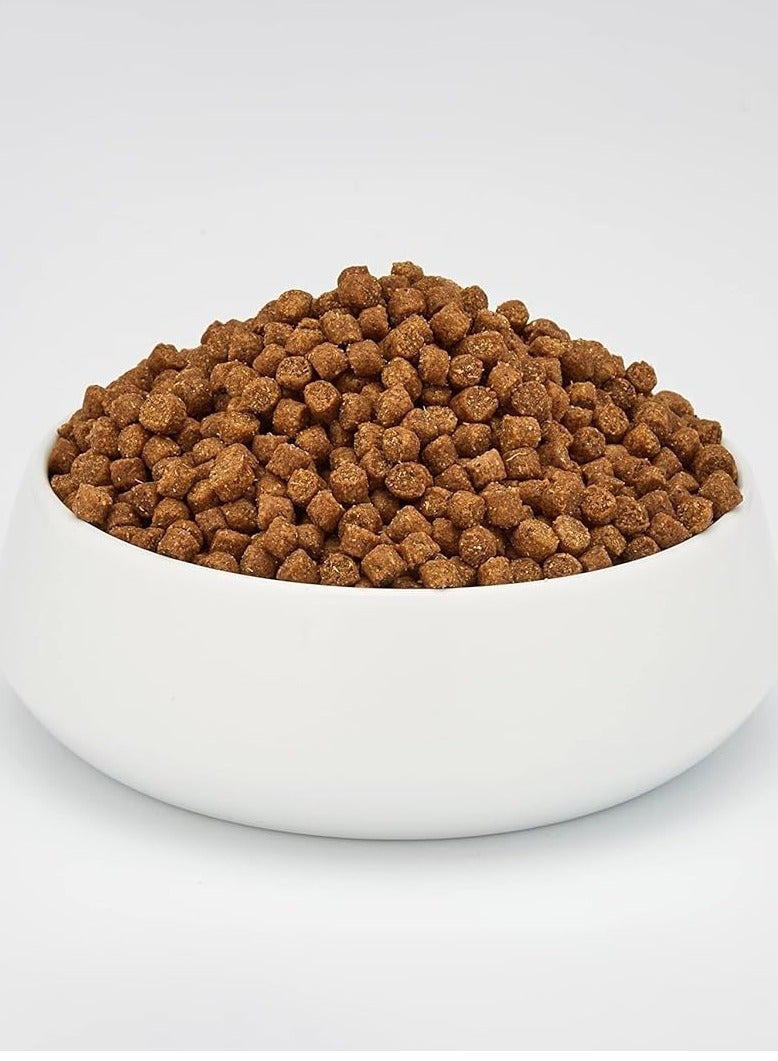 شيسر طعام جاف للقطط للصيانة مع دجاج - بالغ [الوزن - 1.5 كجم] - Image 3