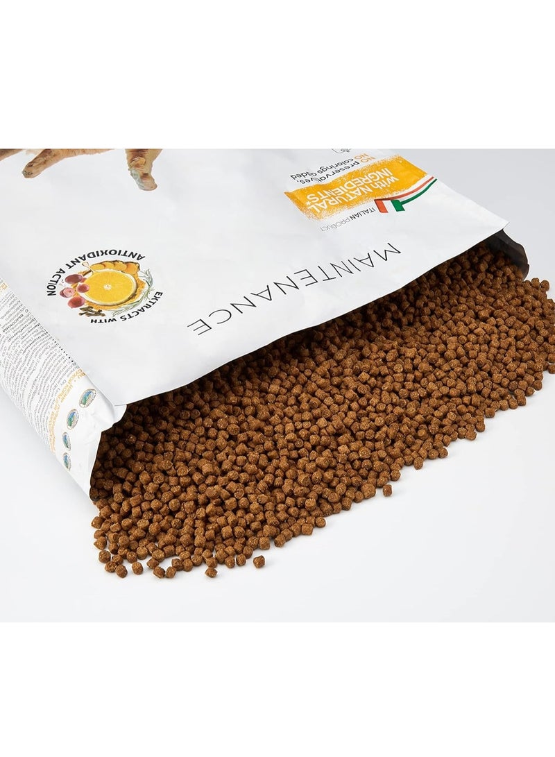 شيسر طعام جاف للقطط للصيانة مع دجاج - بالغ [الوزن - 1.5 كجم] - Image 2