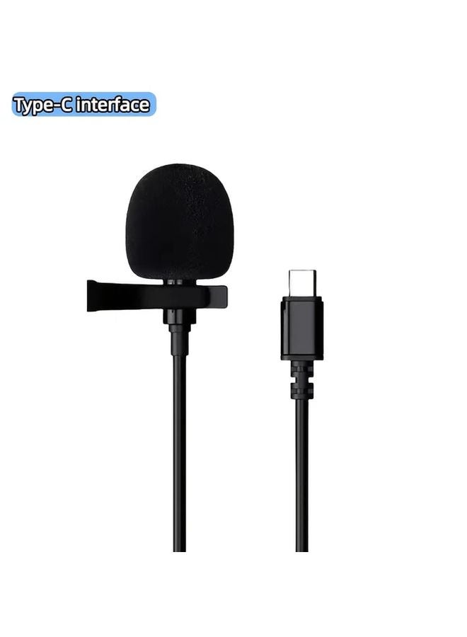Wired Lapel Microphone Omnidirectional Pickup Anti Noise Type C Interface - Image 1