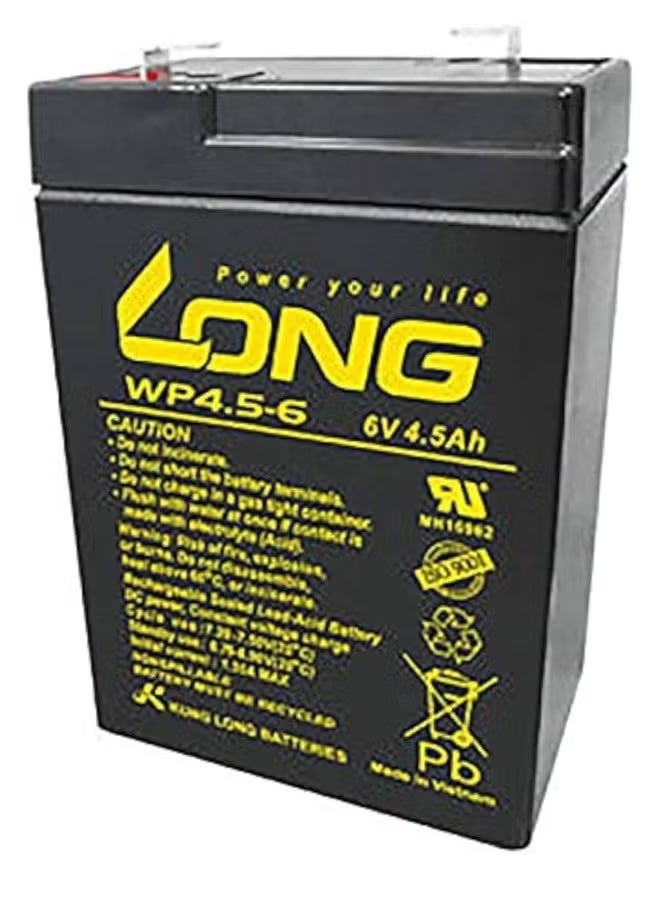 Long AGM Lead Acid Battery 6 Volt 4.5Ah