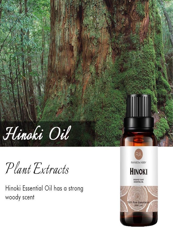 Rainbow Abby Hinoki Essential Oil (30ML), 100% Pure Natural Organic Aroma Hinoki Oil for Diffuser, Massage, Skin Care, Yoga - Image 2