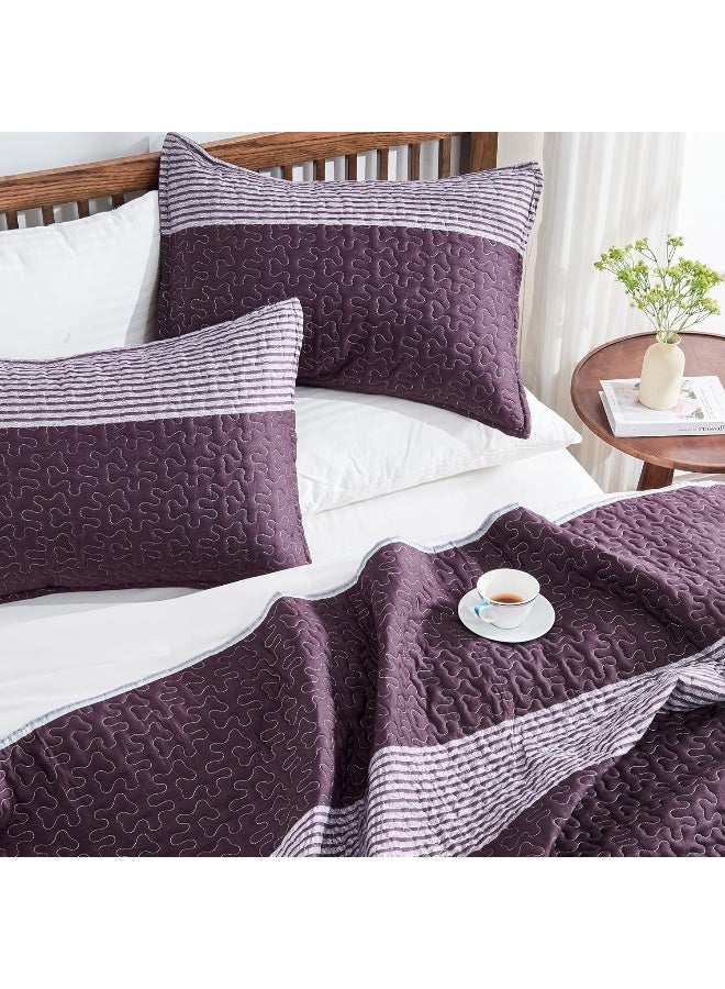 Andency مجموعة لحاف stripe set Queen (96 × 90 بوصة) 3 قطع (لحاف مخطط واحد و 2 وسادات)  - Image 3