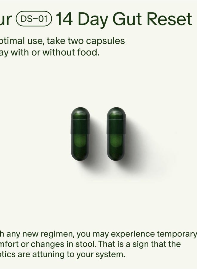 Seed 14 Day Gut Reset - Prebiotic and Probiotic for Women & Men - Digestive Health, Gut Health, Rapid Gut Recovery, Bloating & Constipation Relief - Vegan & Shelf-Stable - 28 Capsules (14-Day Supply) - Image 3